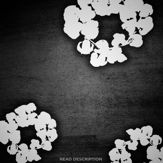 Denim Tears Digital Link